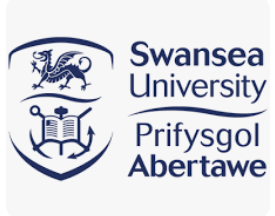 Swansea University